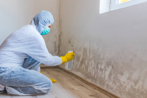 Hvac And Air Duct Mold Remediation inspection of HVAC system in Spangler