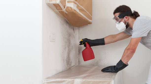 Attic Mold Remediation treatment on roof deck in Spangler