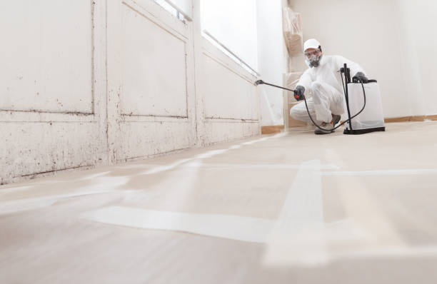 Black mold remediation team in Spangler